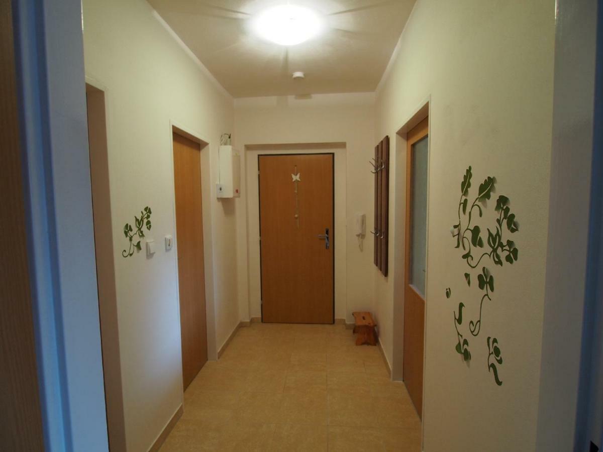 Apartmán v Deštném Apartman Destne v Orlickych horach Kültér fotó